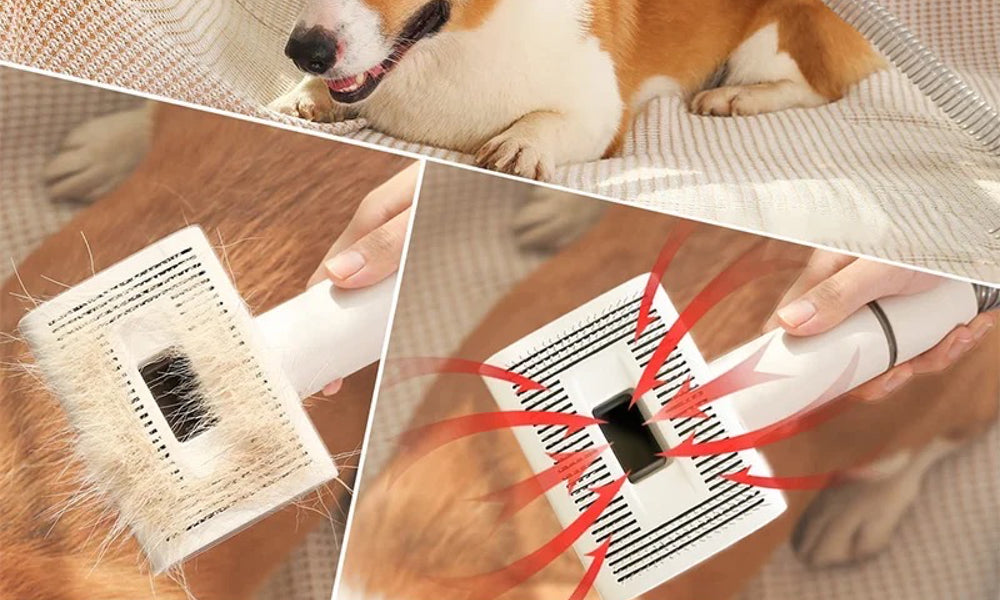 station de toilettage pour chien efficace sur poils longs