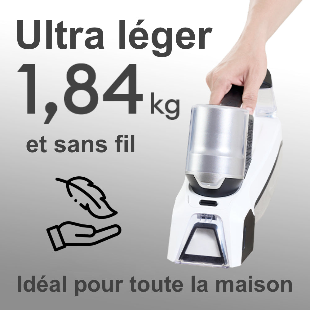 Nettoyeur Détachant Injecteur extracteur Portatif EZIclean Spot Remover W100