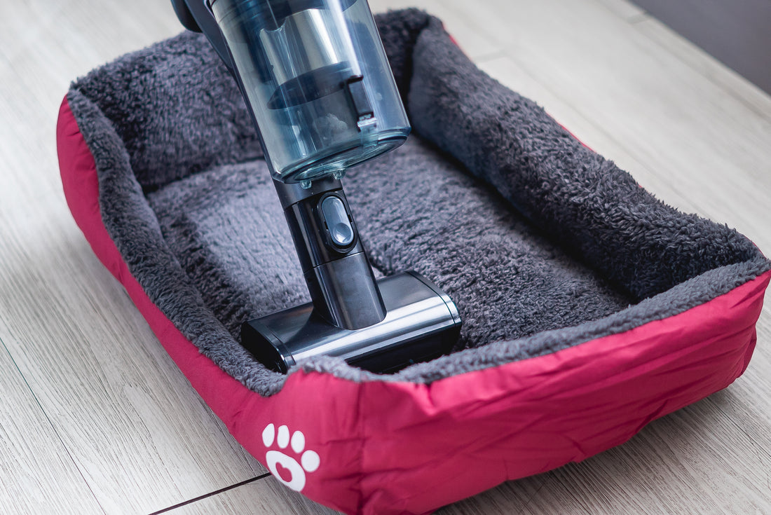 aspirateur sans fil eziclean cycloboost r880 animal avec electrobrosse