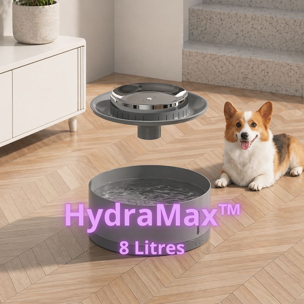 Réservoir de 8 litres de la fontaine à eau pour chien XL, jusqu&