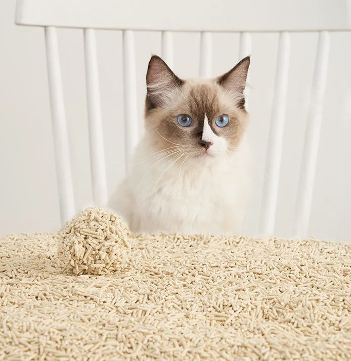 Litière végétale pour chat EZIclean Premium - sacs de 6L (4 semaines approx)