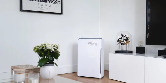 Purificateur d'air au Maroc : utile ou gadget ? On répond franchement