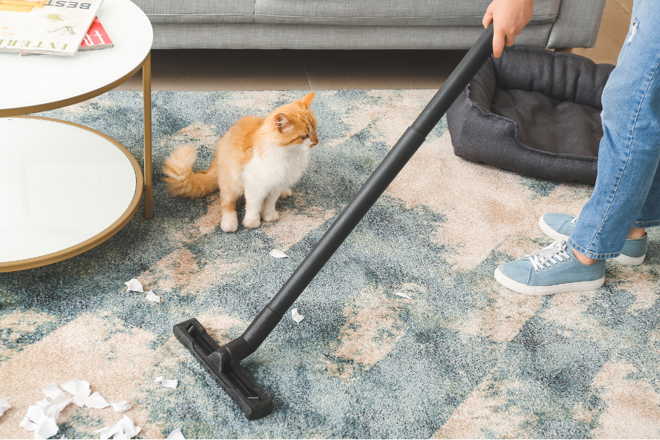 Tâches, poils, miettes : quel appareil utiliser pour chaque situation ?
