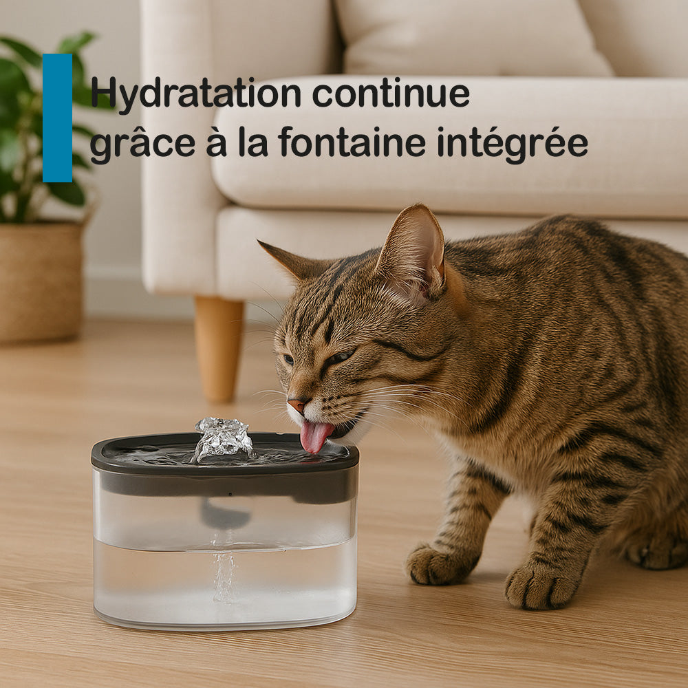 Distributeur de croquettes et fontaine pour chat et petit chien Nutribot Connect C4