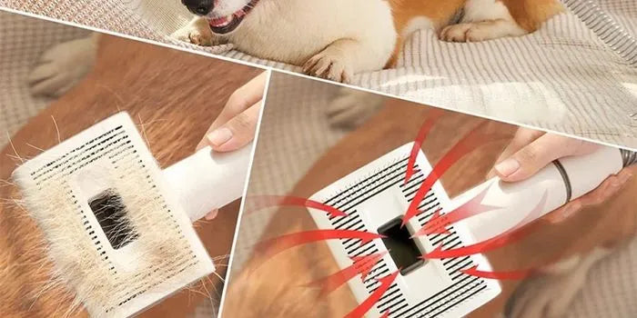 Brosse de toilettage pour animaux par EziClean au Maroc