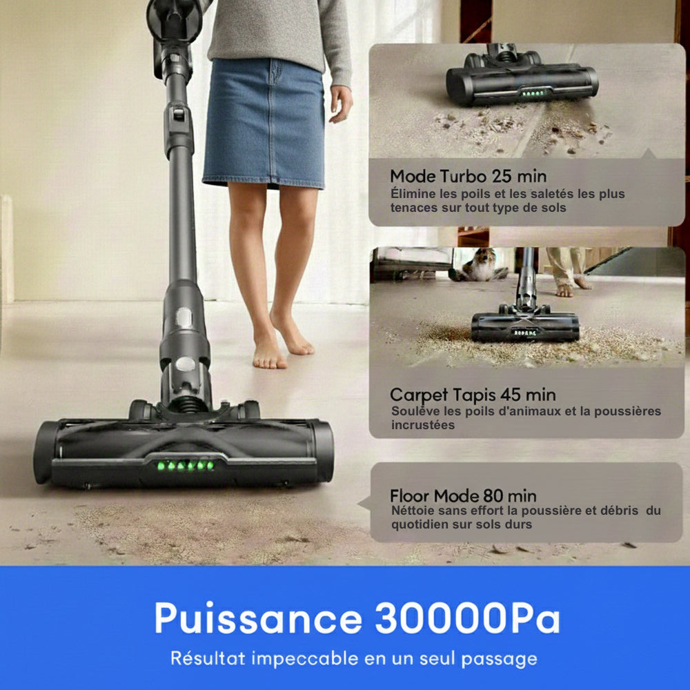 Aspirateur balai sans fil EZIclean CYCLOBOOST FR15 ANIMAL