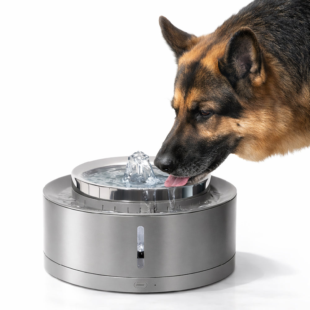 Fontaine à eau pour chien XL – EZIclean Nutribot Water XL 8 L